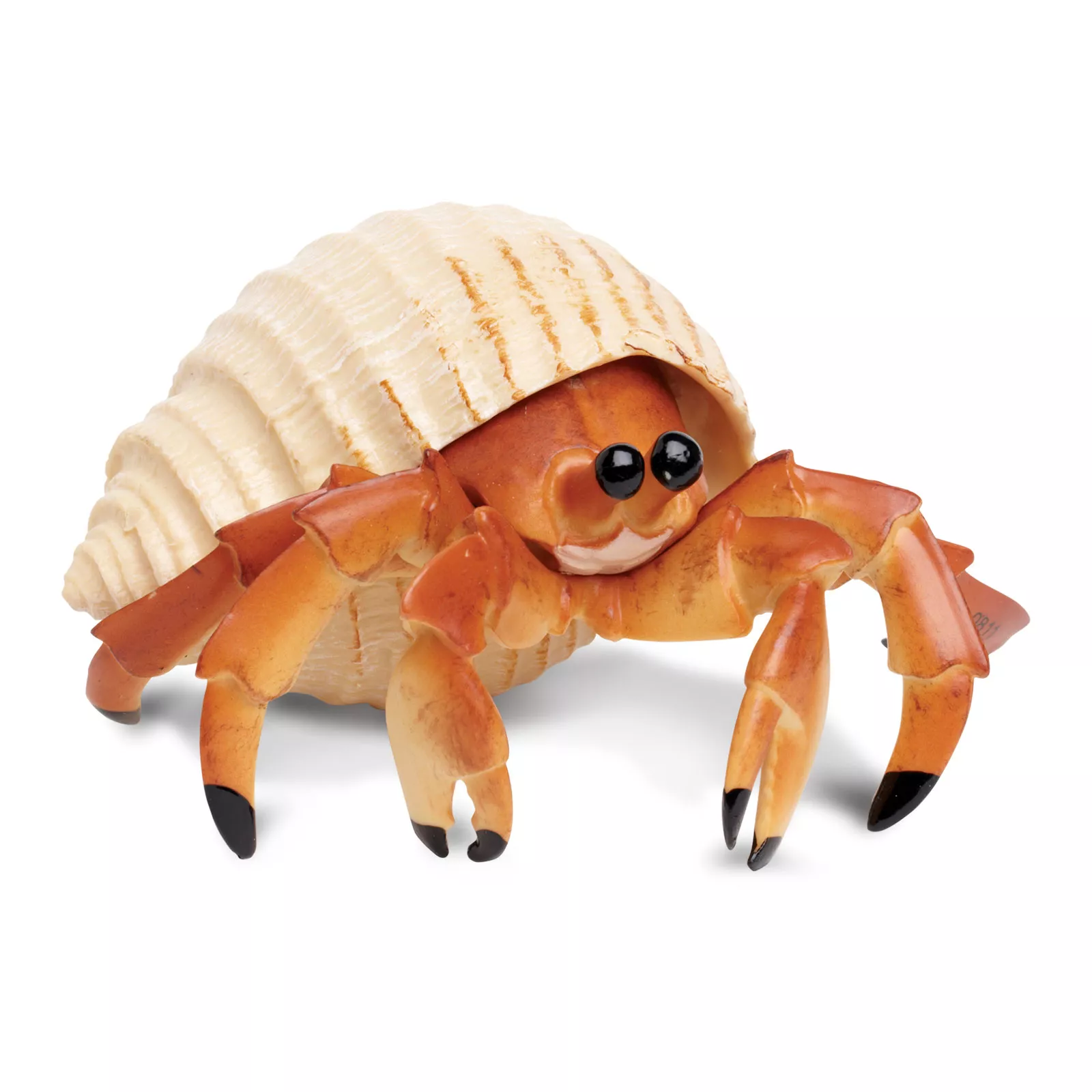 Krab pustovník Safari Ltd.