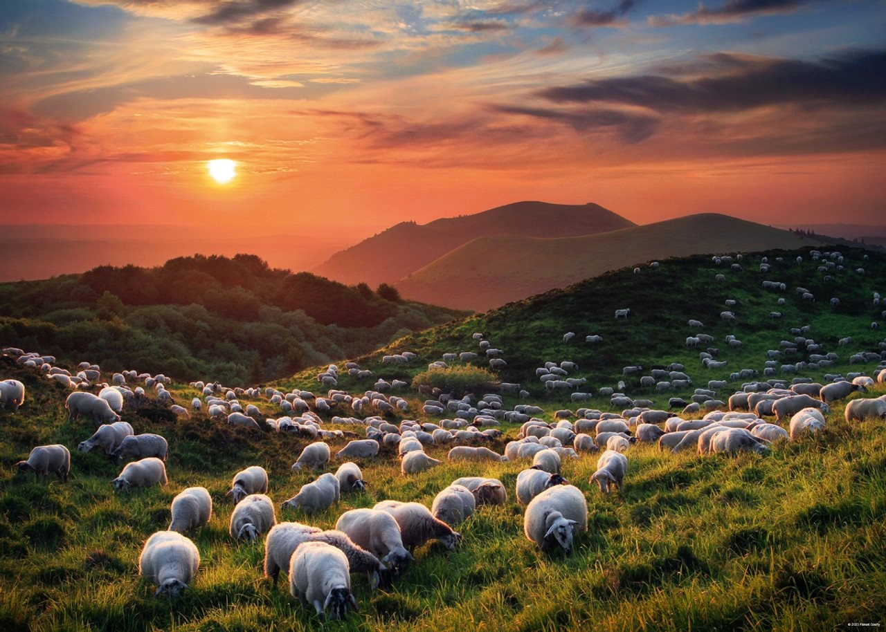 E-shop Heye Humboldt Sheep and Volcanoes 1000 dielov