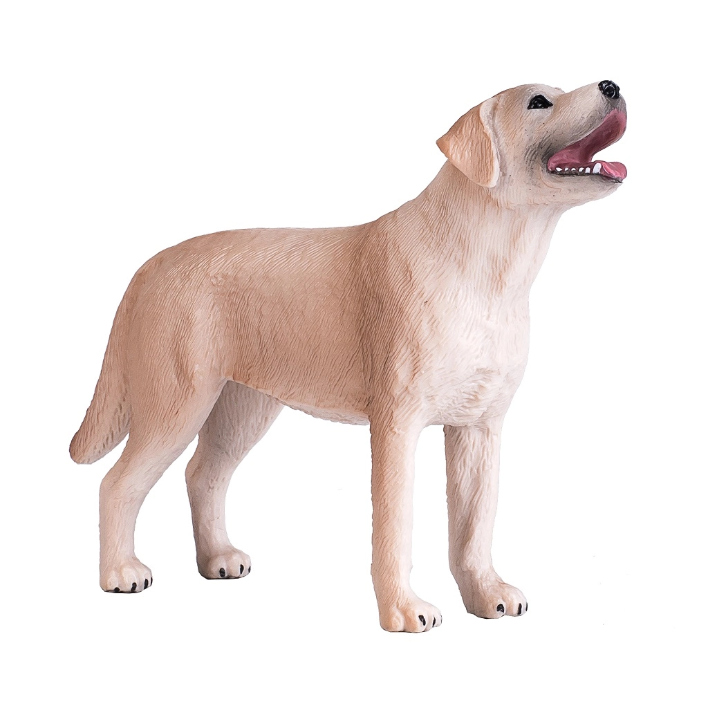 E-shop Animal Planet Labrador