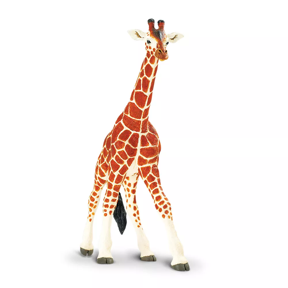 Safari Ltd. žirafa sieťovaná - 1 kus