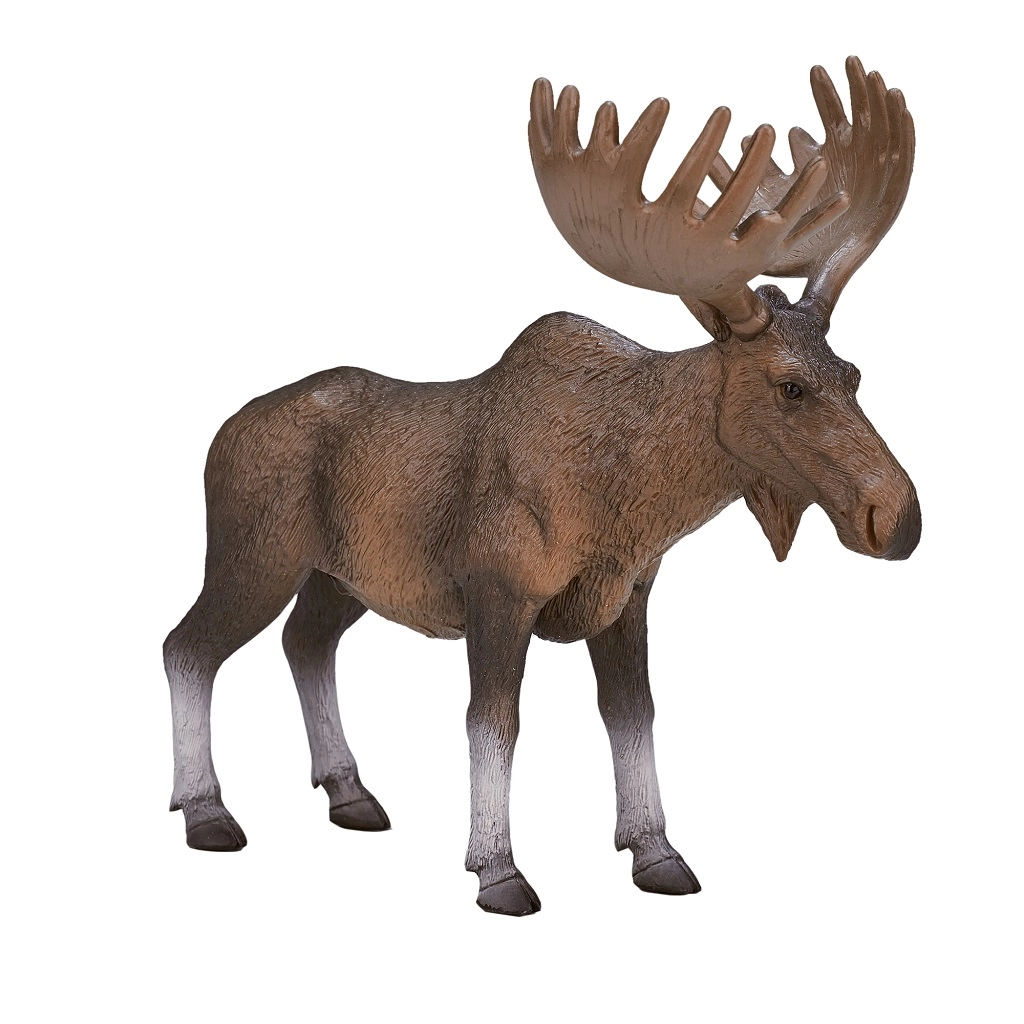 E-shop Animal Planet Los európsky