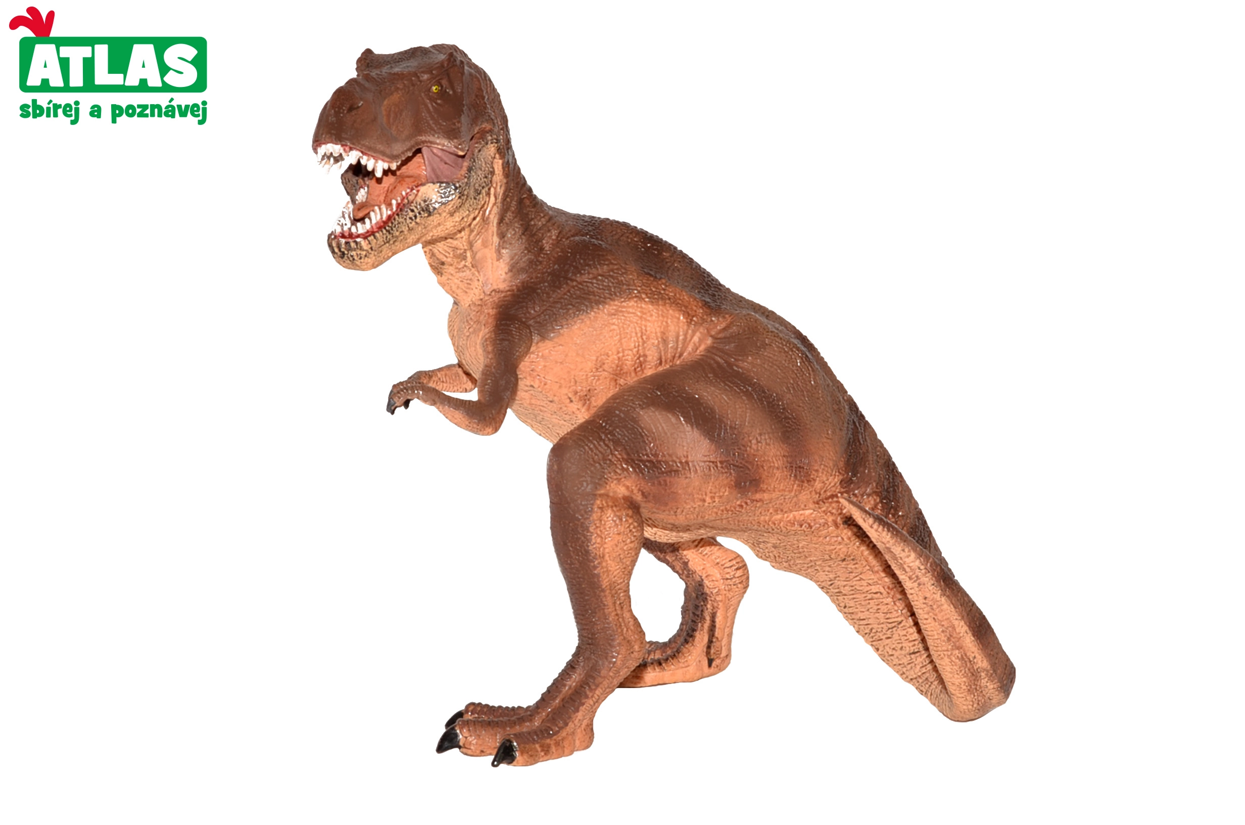 E-shop Figúrka dinosaura Tyrannosaurus rex 22 cm