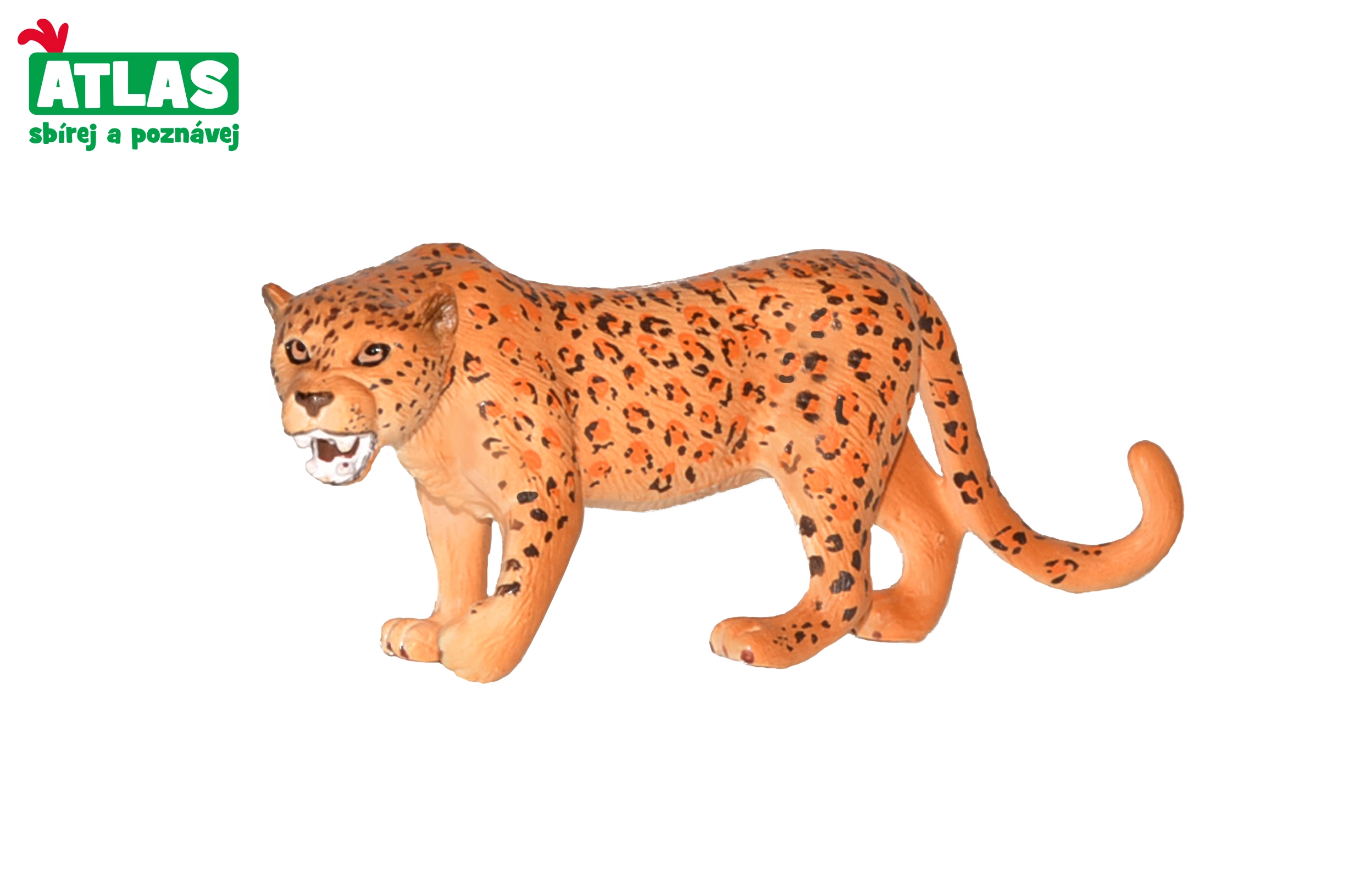 E-shop Atlas C Leopard 11cm