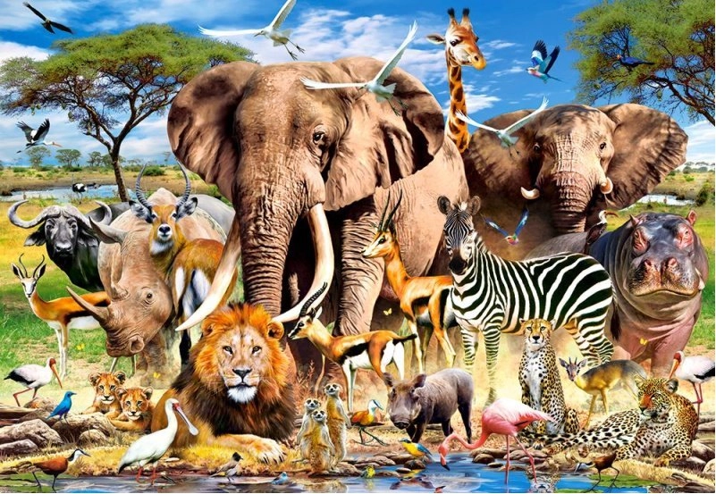 E-shop Castorland Savanna Animals 260 dielov