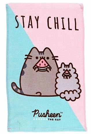 Uterák Pusheen 30 × 50 cm - 1 kus