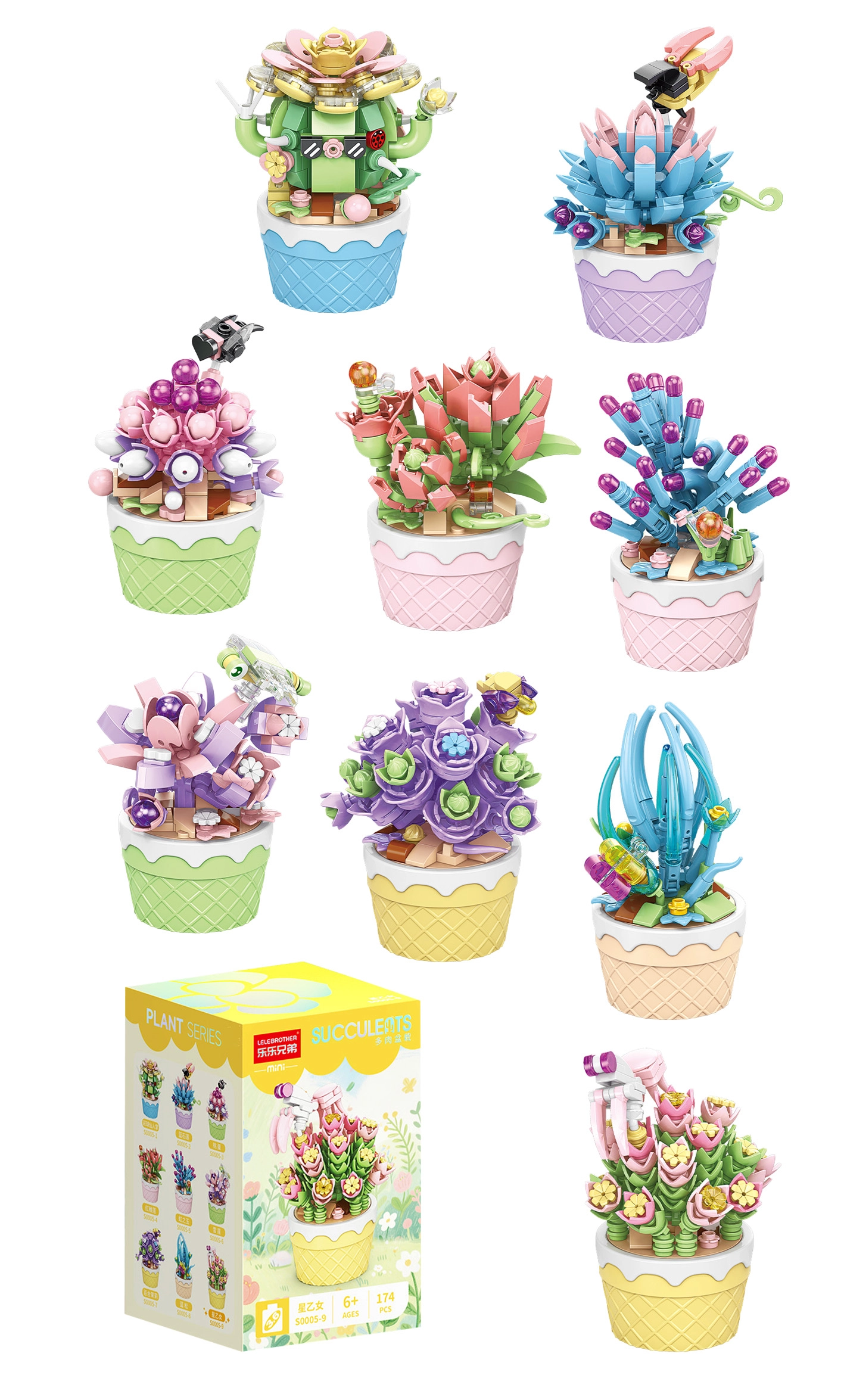Florist sukulenty v ozdobných kvetináčoch (9 druhov) - 1 kus
