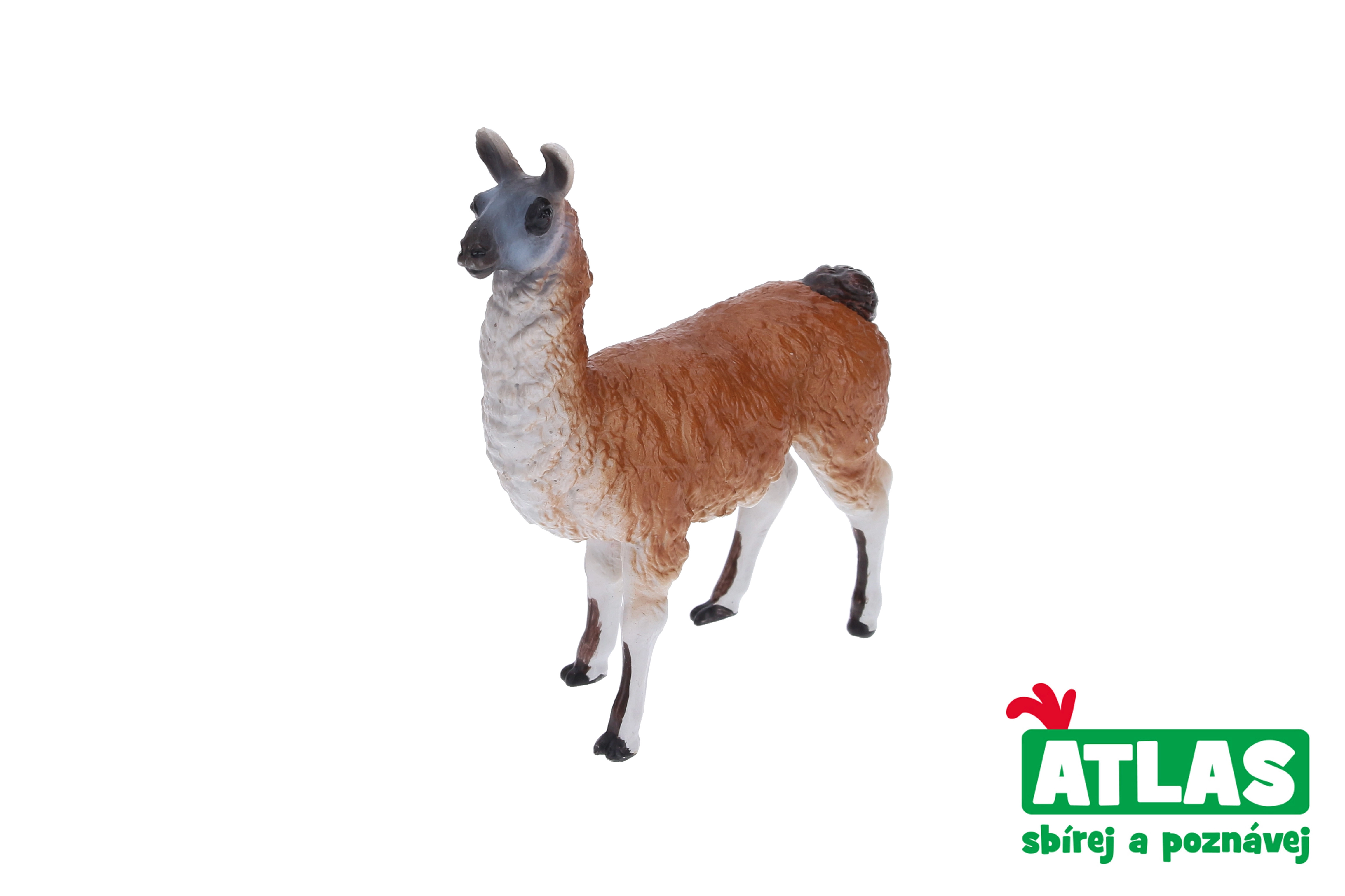 E-shop Atlas B Lama 8,5 cm