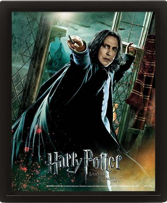 E-shop Harry Potter Obraz 3D - Snape