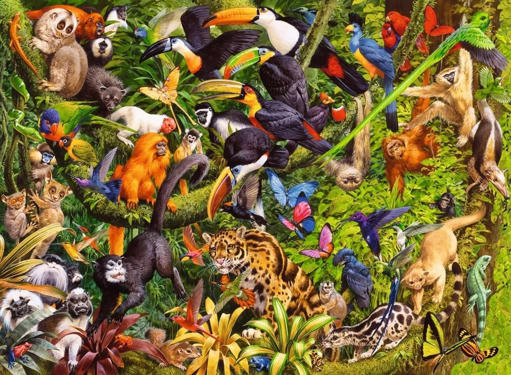 E-shop Ravensburger 133512 Dažďový Prales 200 dielov