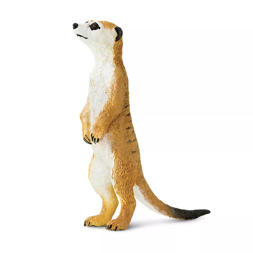 Safari Ltd. figúrka surikaty