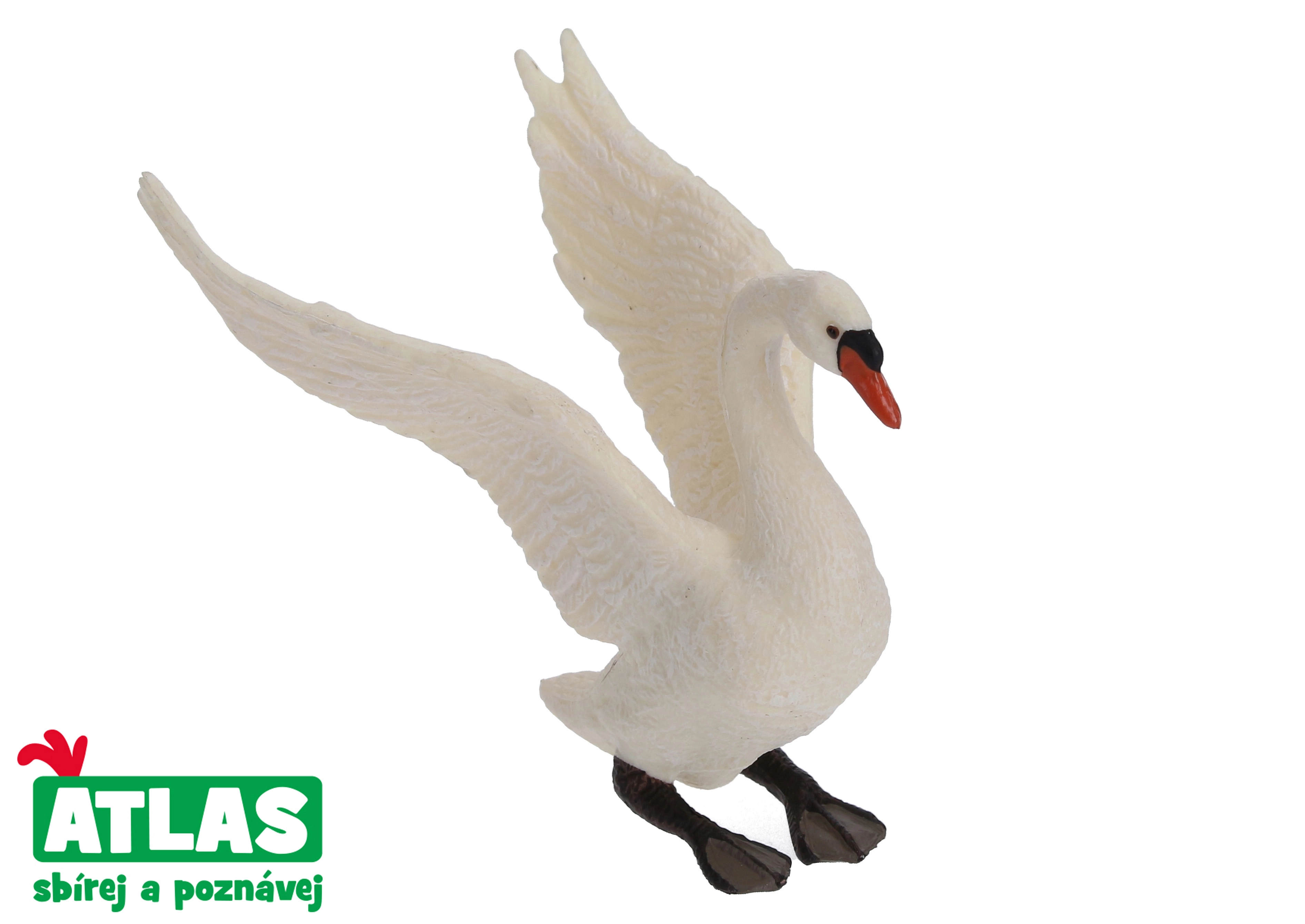 E-shop Atlas B Labuť 10 cm