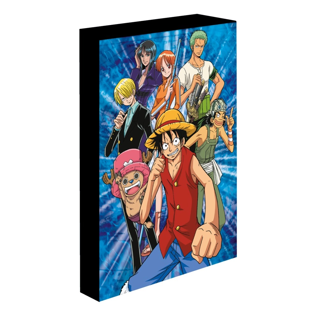 E-shop Obraz LED svietiaci 30x40 cm, One Piece