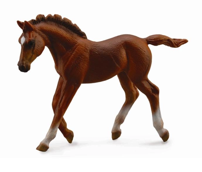 E-shop Krásny žrebec Collecta