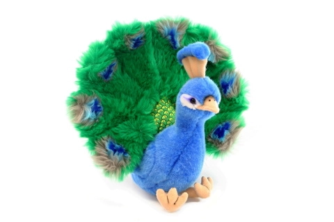 E-shop Plyšový páv 25 cm