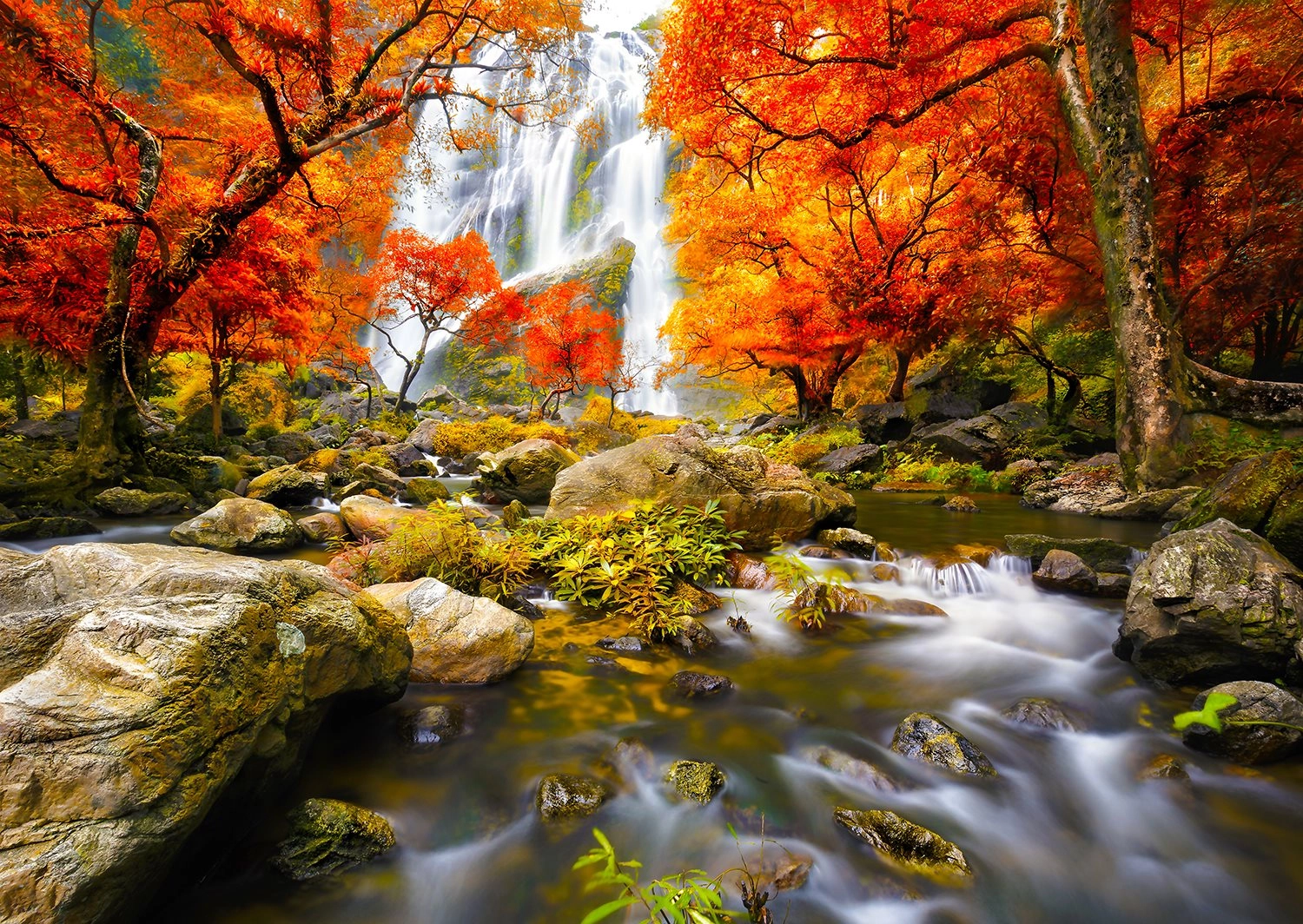 E-shop Enjoy Autumn Waterfall 1000 dielov