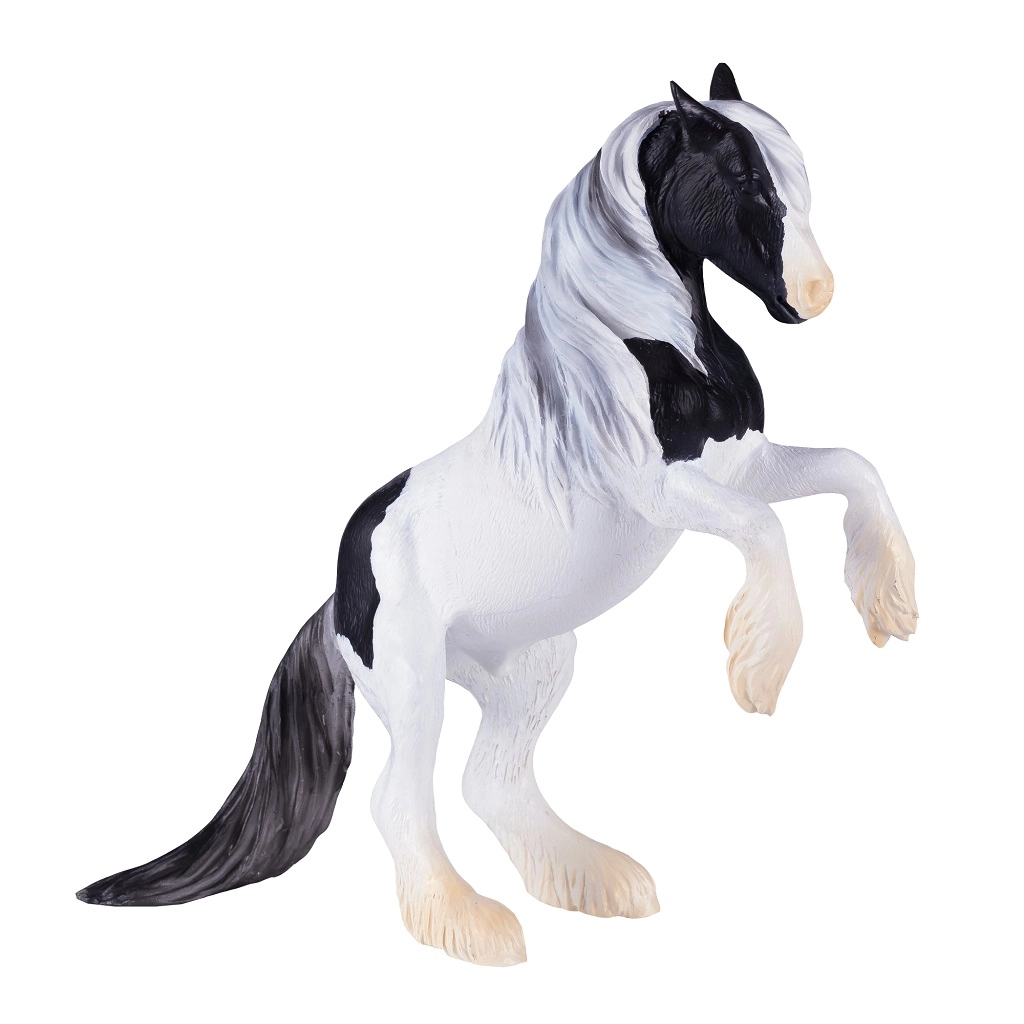 E-shop Mojo Hřebec Gypsy Vanner