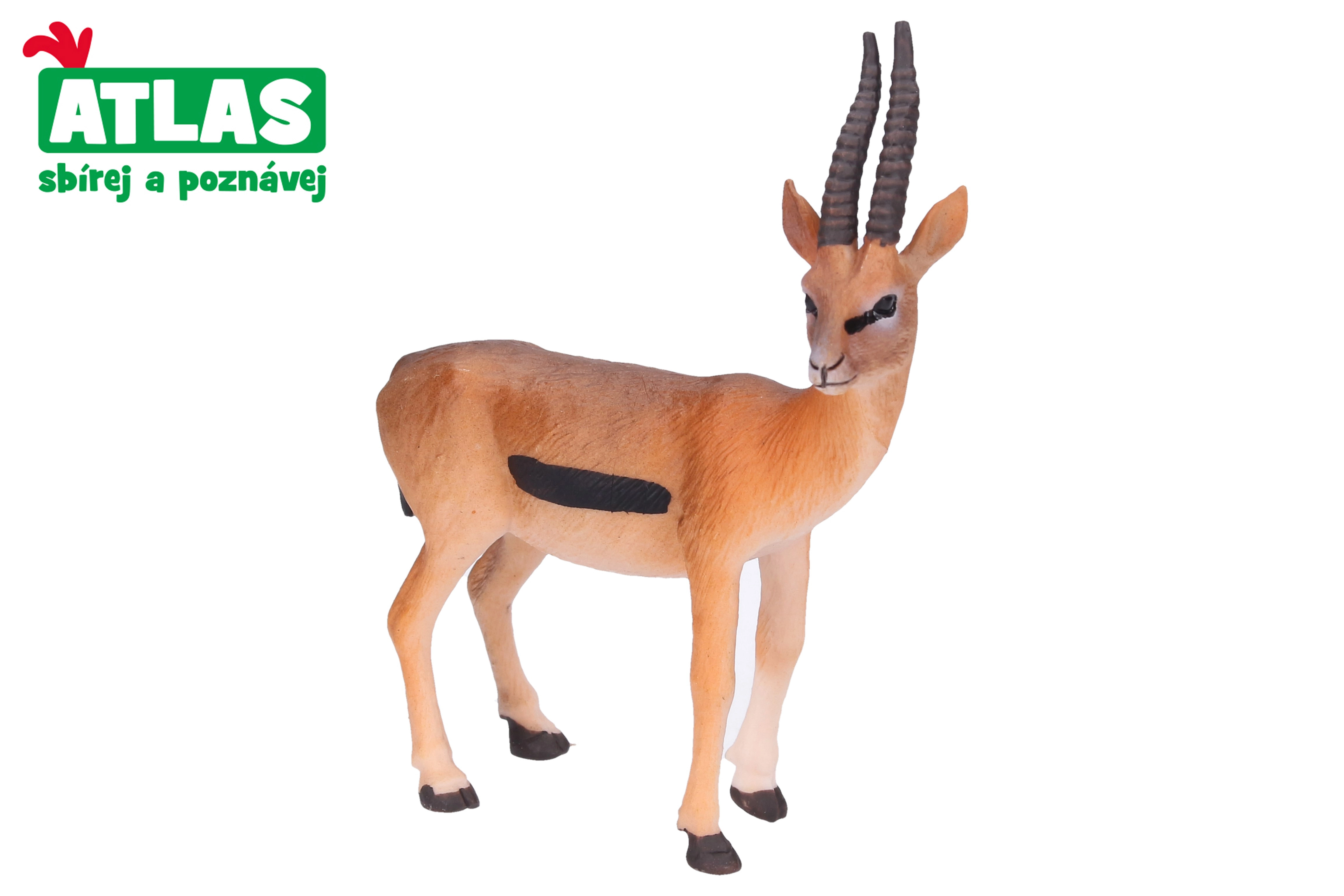 E-shop Atlas A Kamzík 9 cm