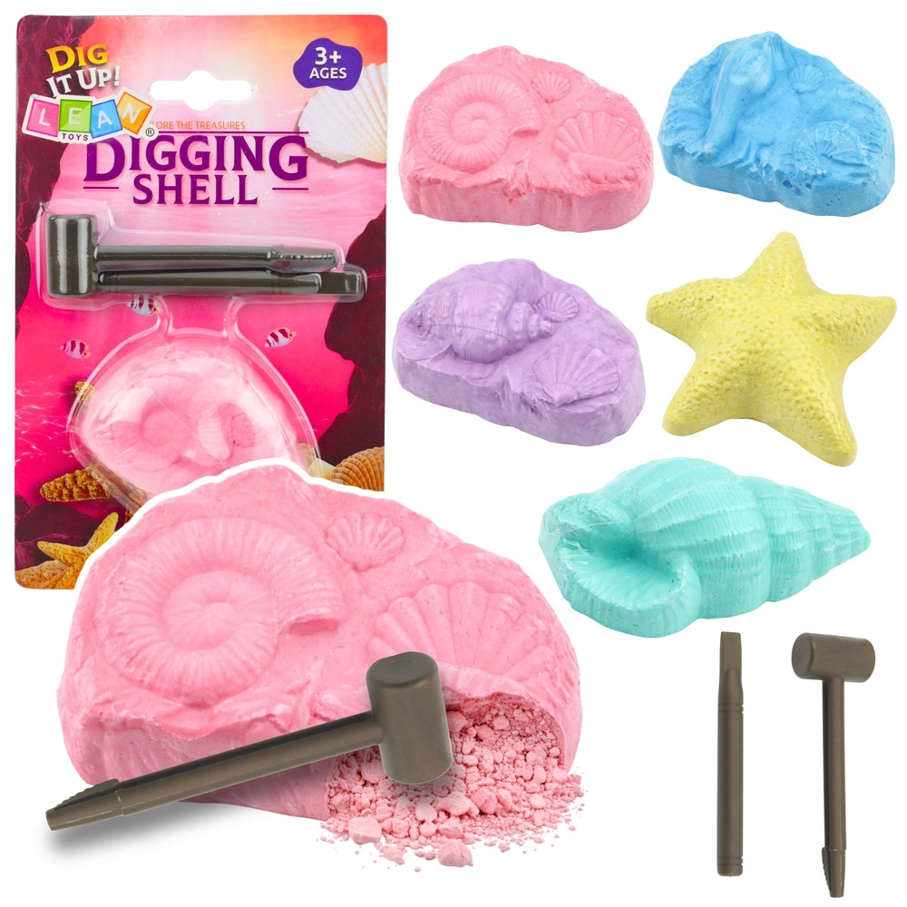 Archeologická sada morských skamenelín – výkopová sada s mušľami a nástrojmi