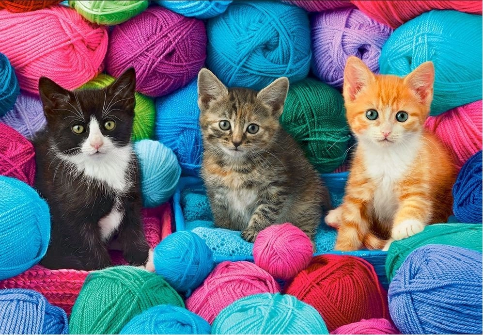 E-shop Castorland Kittens in Yarn Store 1000 dielov