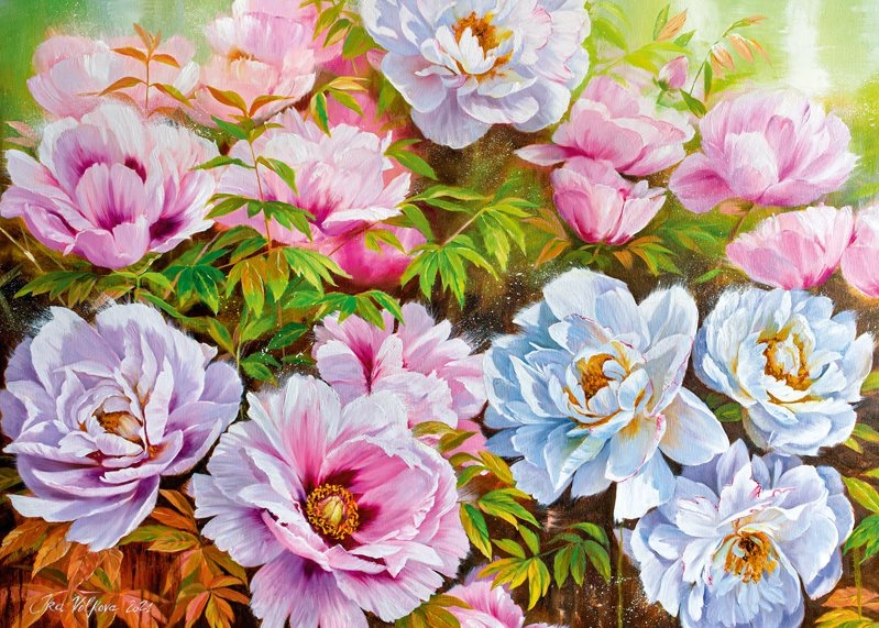 E-shop CHERRY PAZZI puzzle Poenyssimo Opus 1000 dielikov