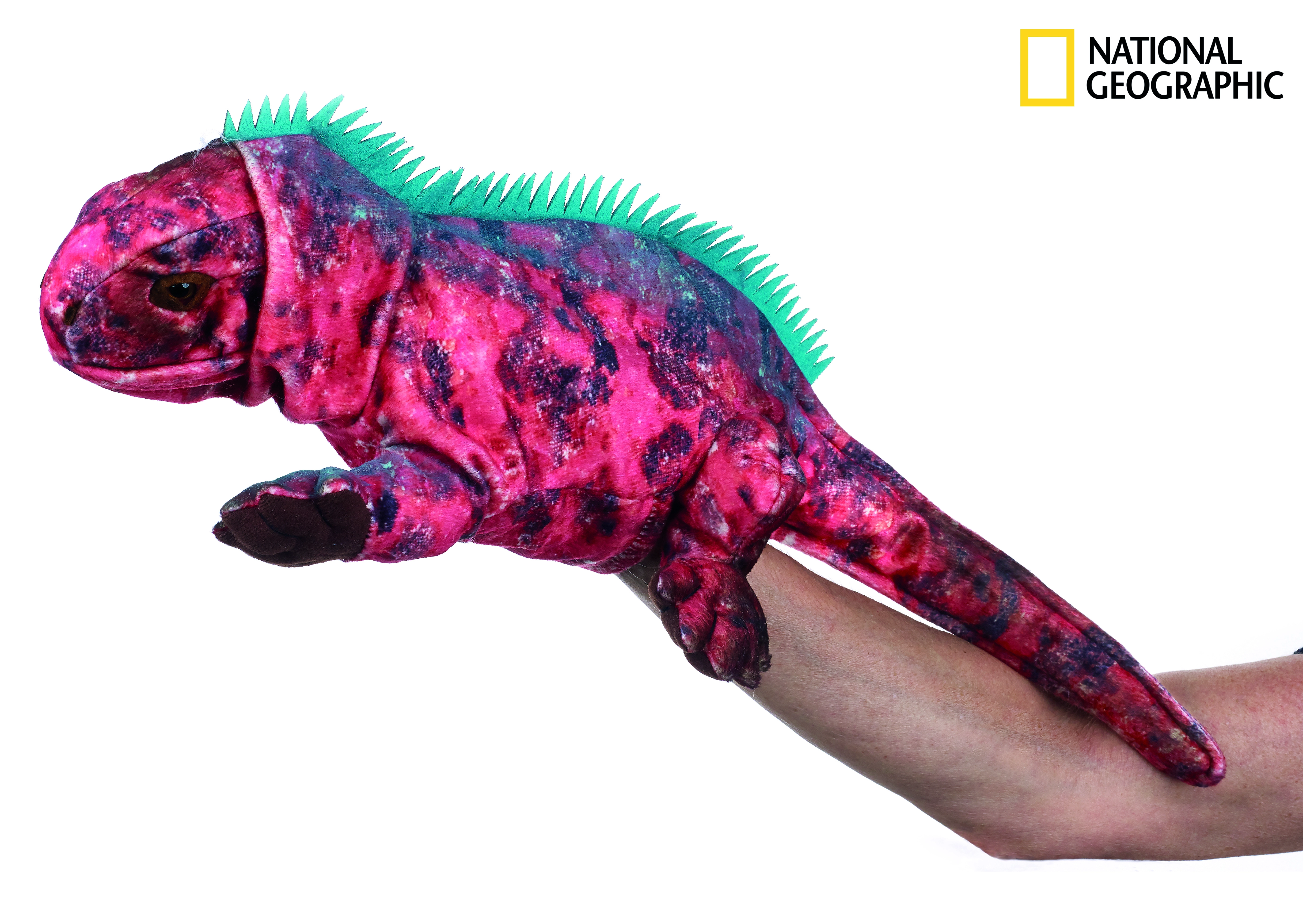 E-shop National Geographic Pacynka Iguana