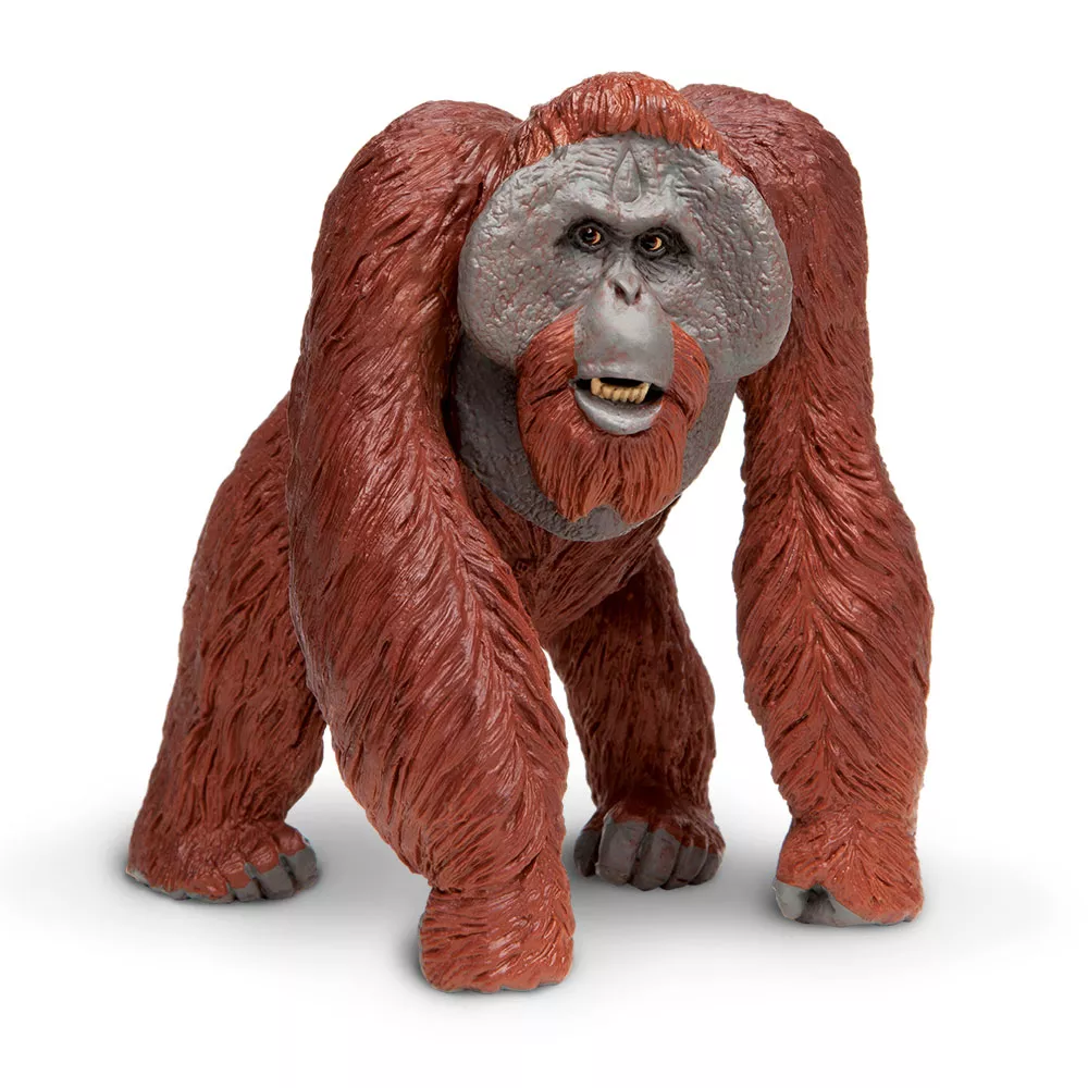 Figúrka bornejského orangutana Safari Ltd.