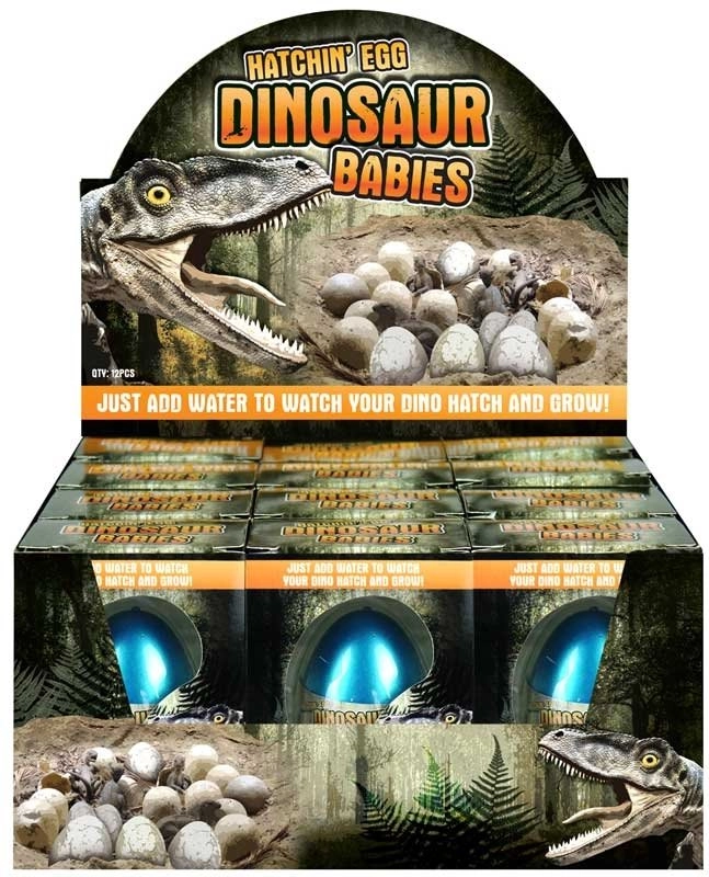 E-shop Rastúce vajce dinosaurus – prekvapenie do vody