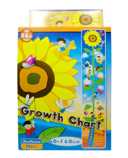 E-shop Penaové puzzle slnečnica – rastové meradlo 24 dielikov