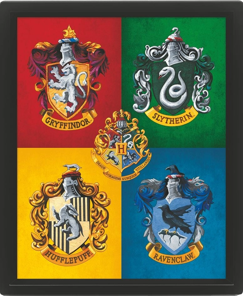 E-shop 3D obraz Harry Potter farebný
