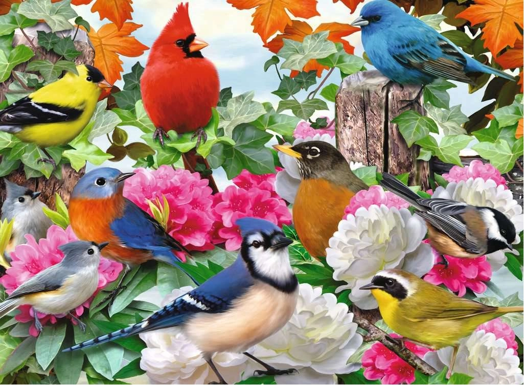 E-shop Puzzle Záhradné Vtáky Ravensburger 500 Dielov
