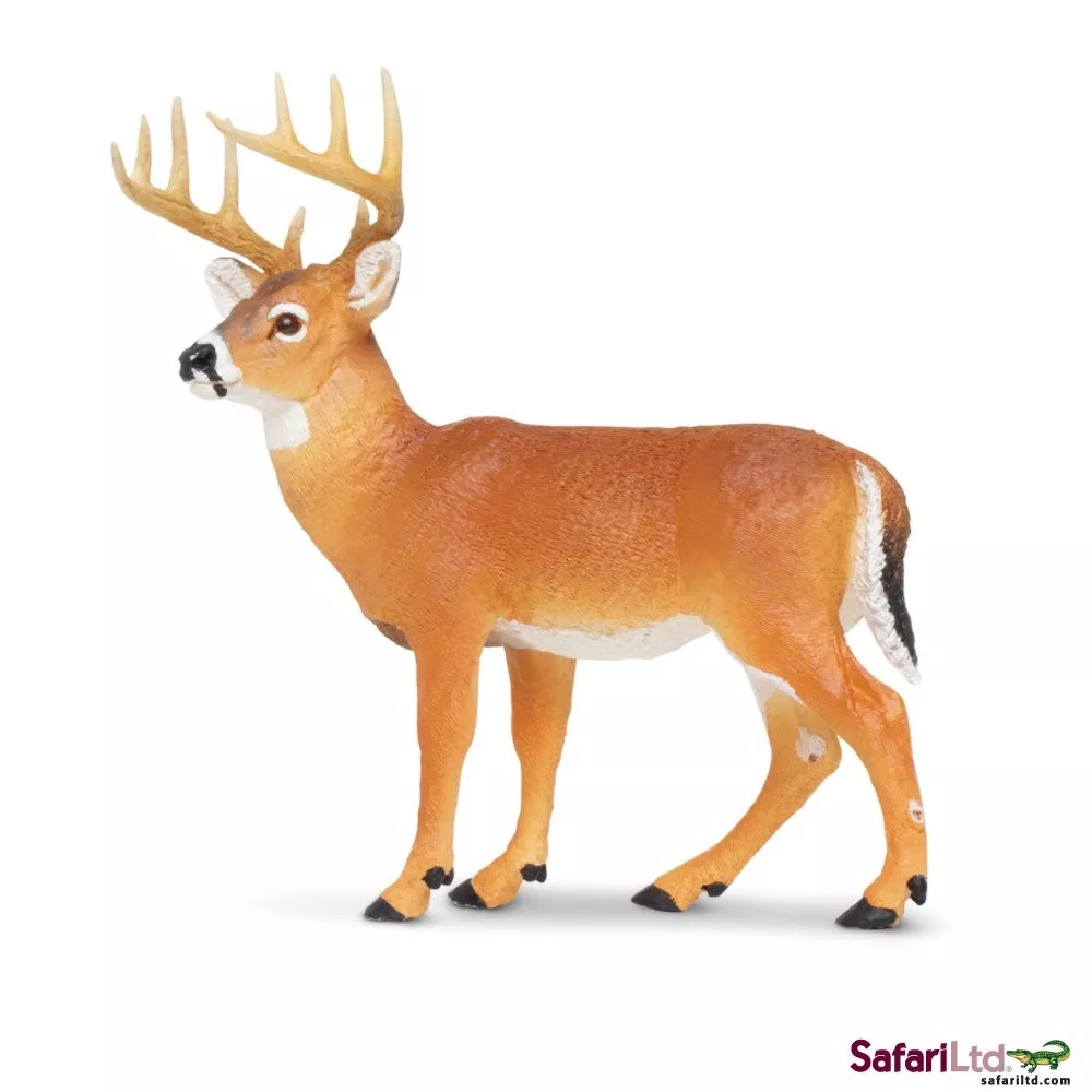 Jeleň bielochvostý Safari Ltd.