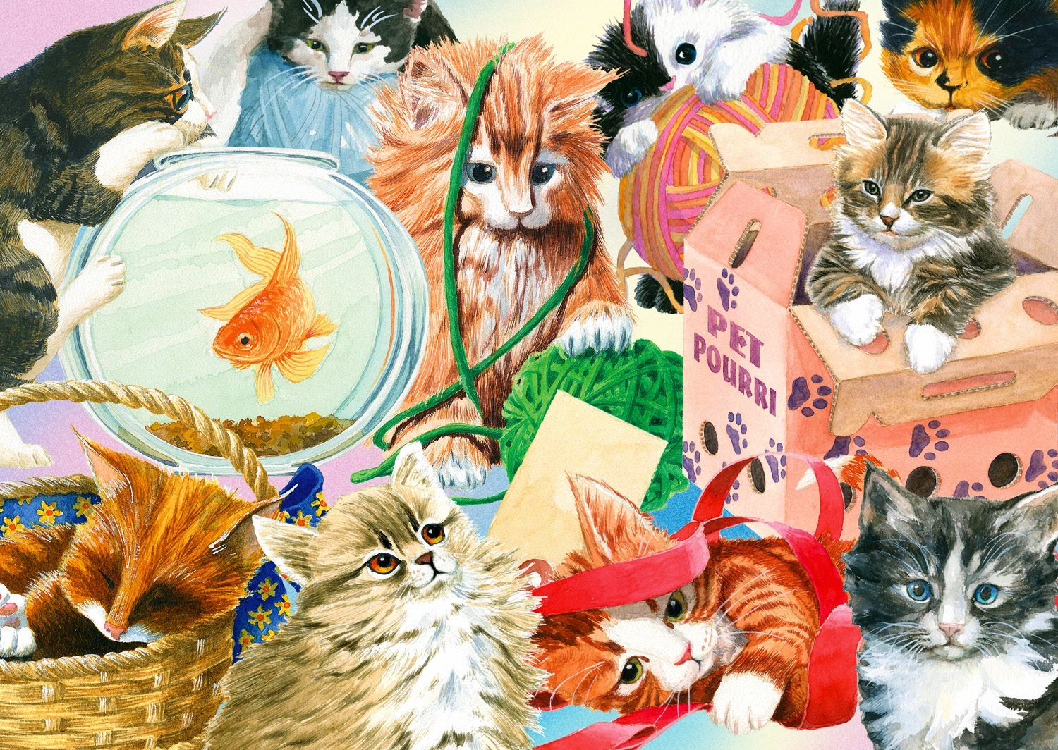 E-shop Enjoy Curious Cats 1000 dielov