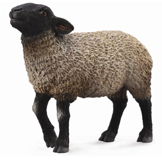 E-shop Collecta Ovce Suffolk