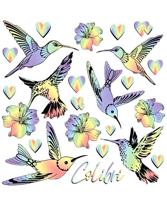E-shop Nažehľovacie obrázky dúhové kolibríky – malý hárok 15 × 21 cm