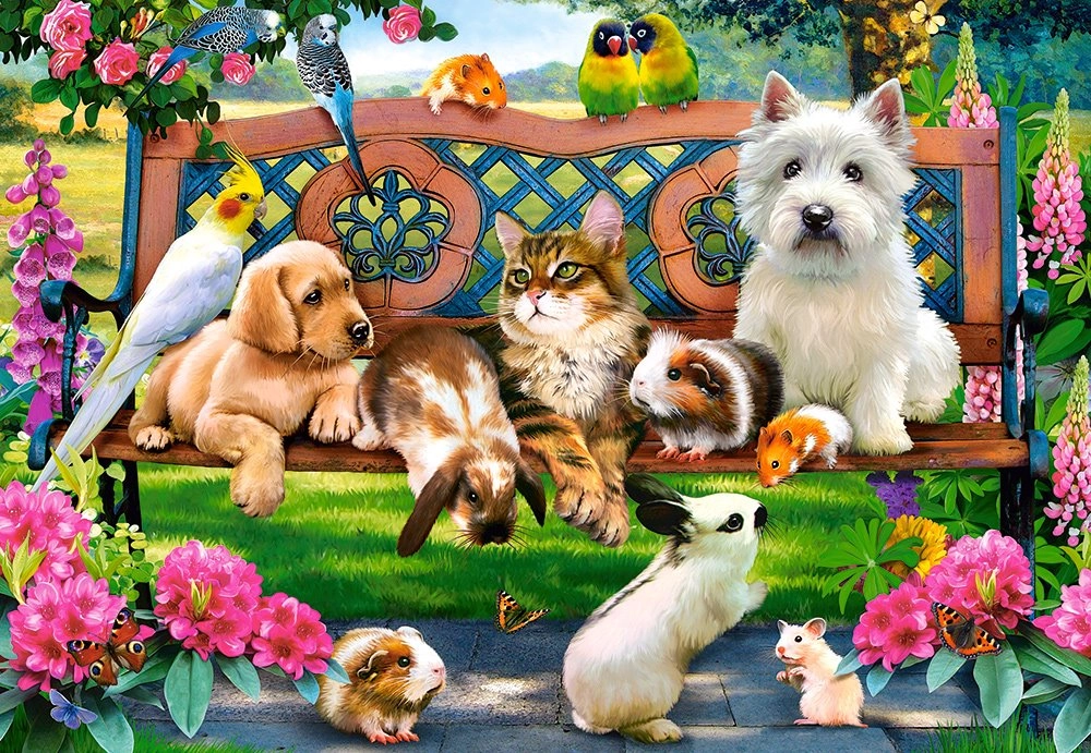 E-shop Castorland Pets in the Park 1000 dielov