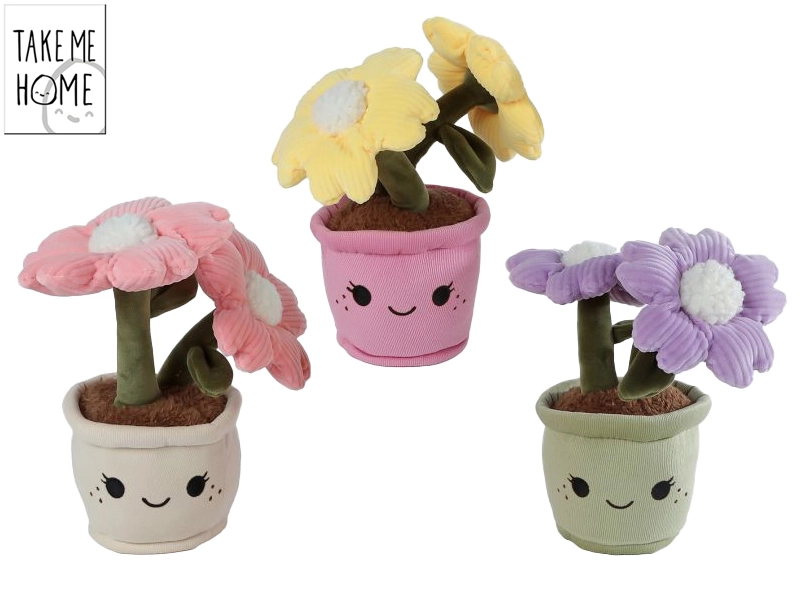 Mikro trading Take Me Home Rostlina pokojová 3 barvy 22 cm