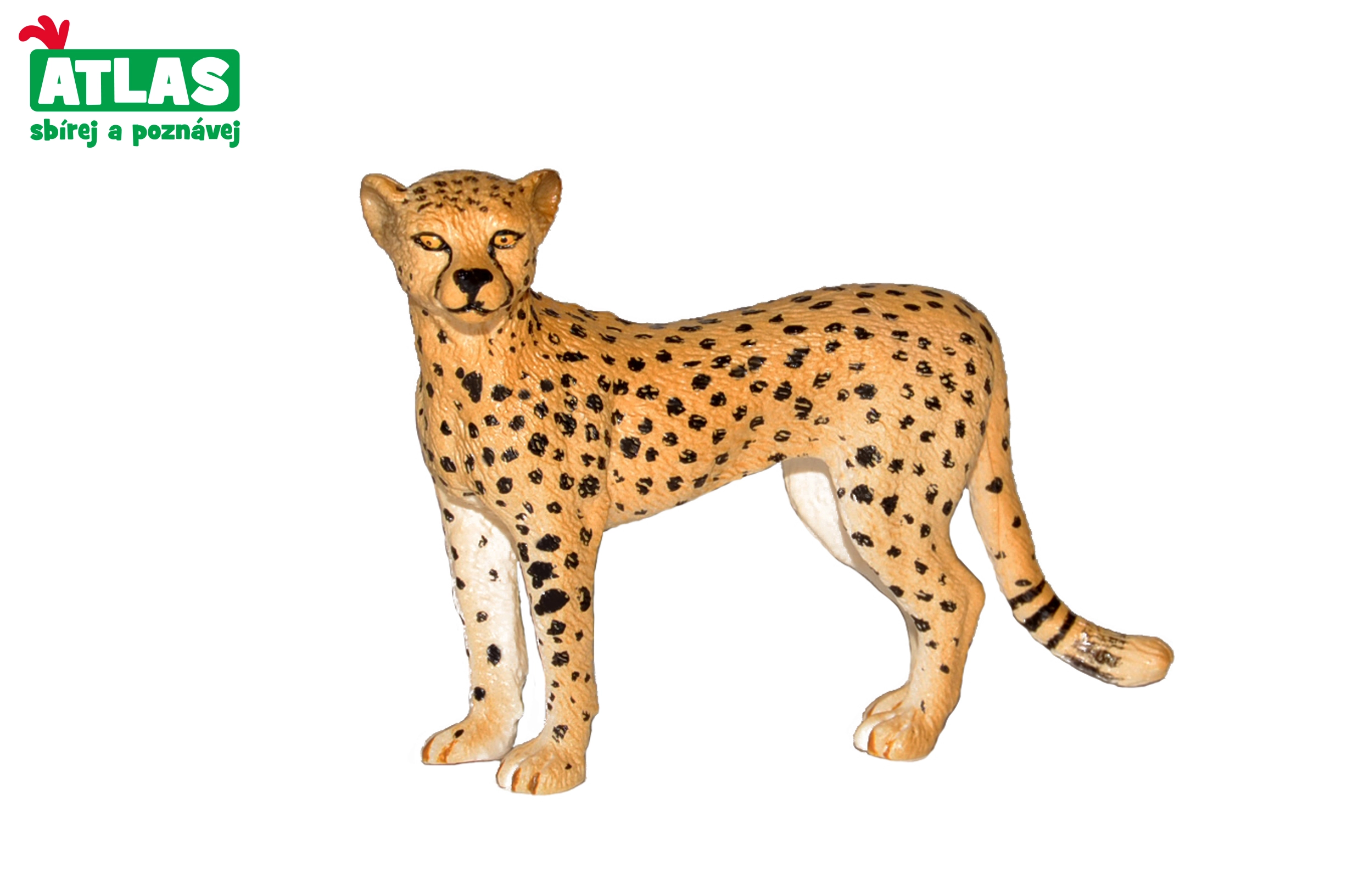 E-shop Atlas B Gepard 8cm