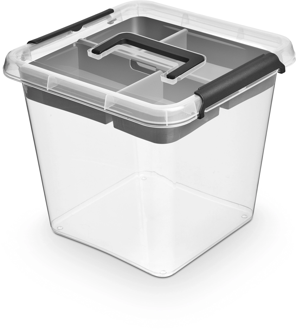 E-shop Simplestore insert úložný box s vekom a rukoväťou 13 l (29 × 29 × 26 cm)