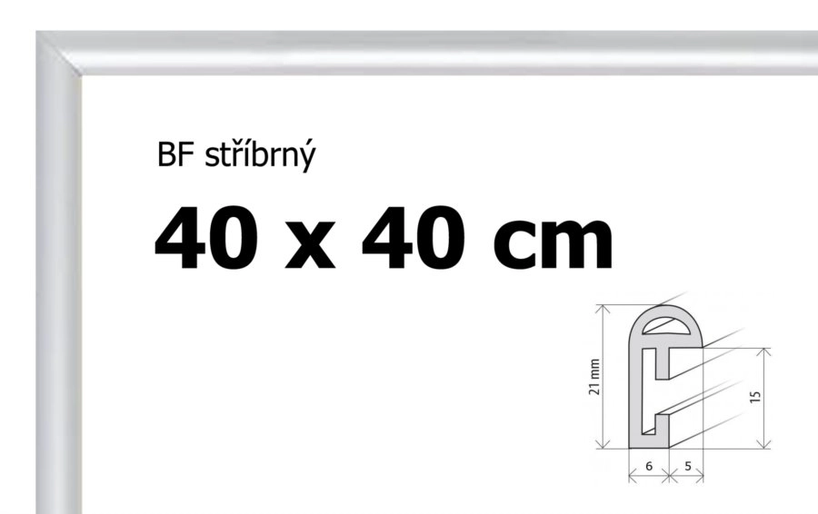 E-shop BFHM Plastový rám 40x40cm stříbrný