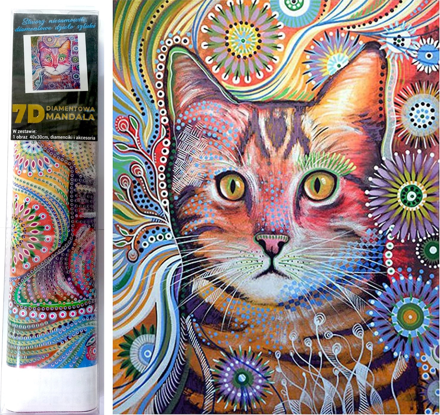 E-shop Norimpex Diamantové maľovanie 7D Udivená mačka 30 x 40 cm