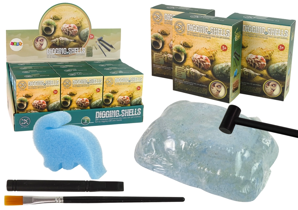 E-shop Lean Toys Detská sada na výkop rôznych mušlí