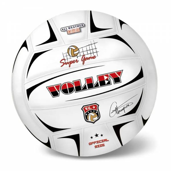 E-shop Volejbalová lopta Champions 21 cm