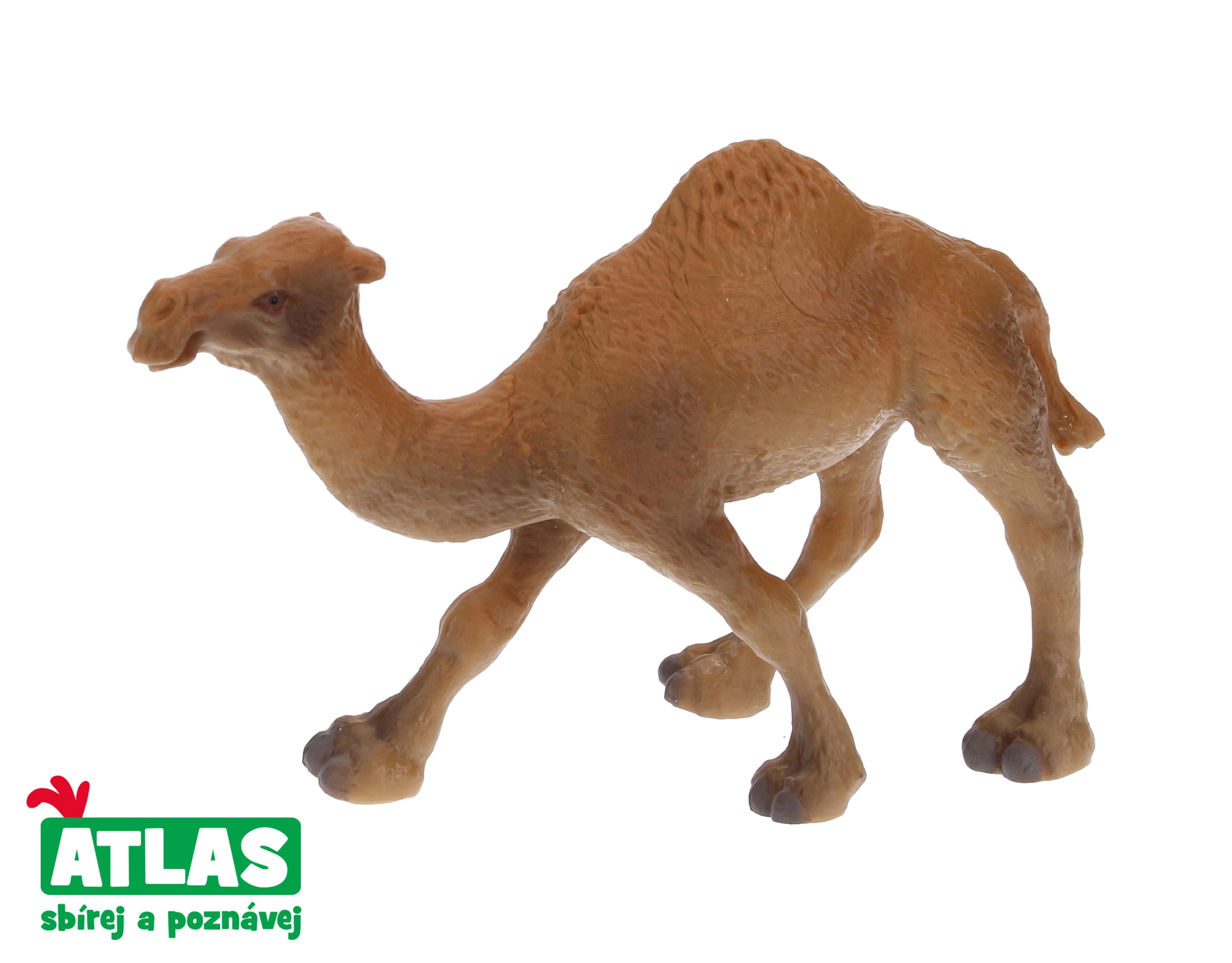 E-shop Atlas B Velbloud jednohrbý 11 cm