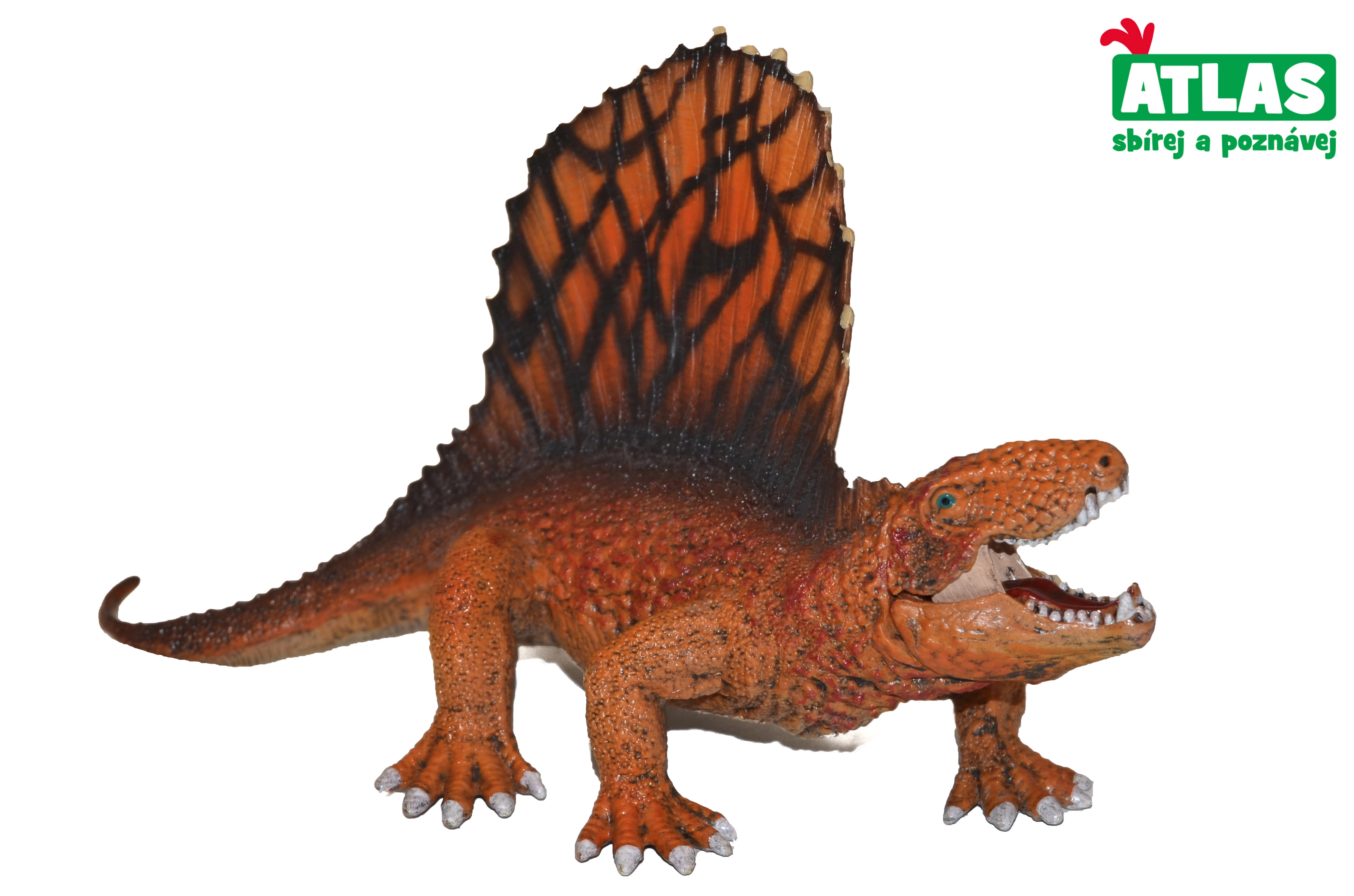 E-shop Figúrka Dino Dimetrodon 15 cm