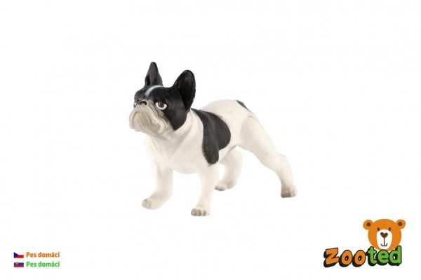 E-shop Francúzsky buldoček – plastová figúrka 6 cm