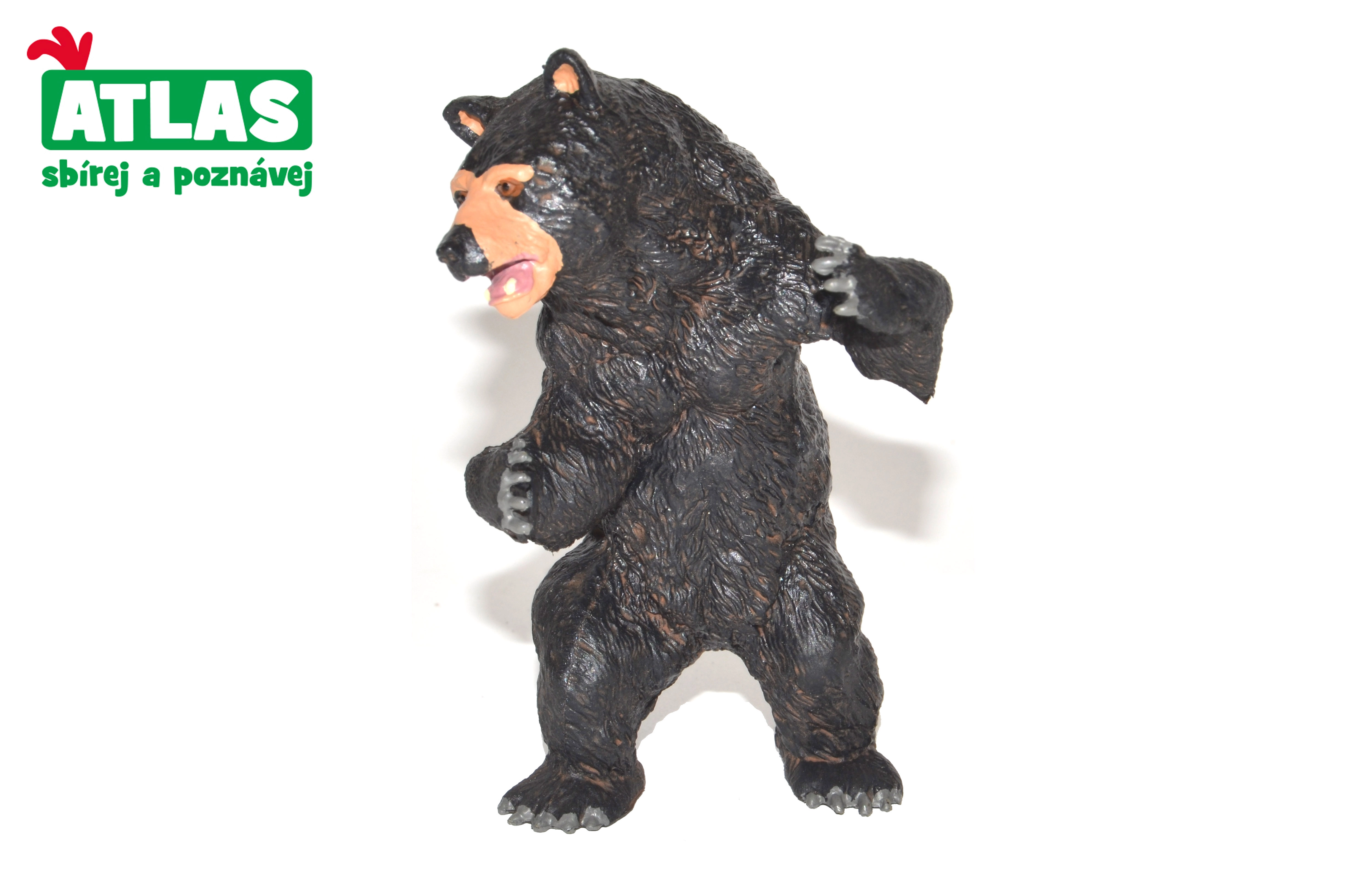 E-shop Atlas C Medvěd baribal 11cm