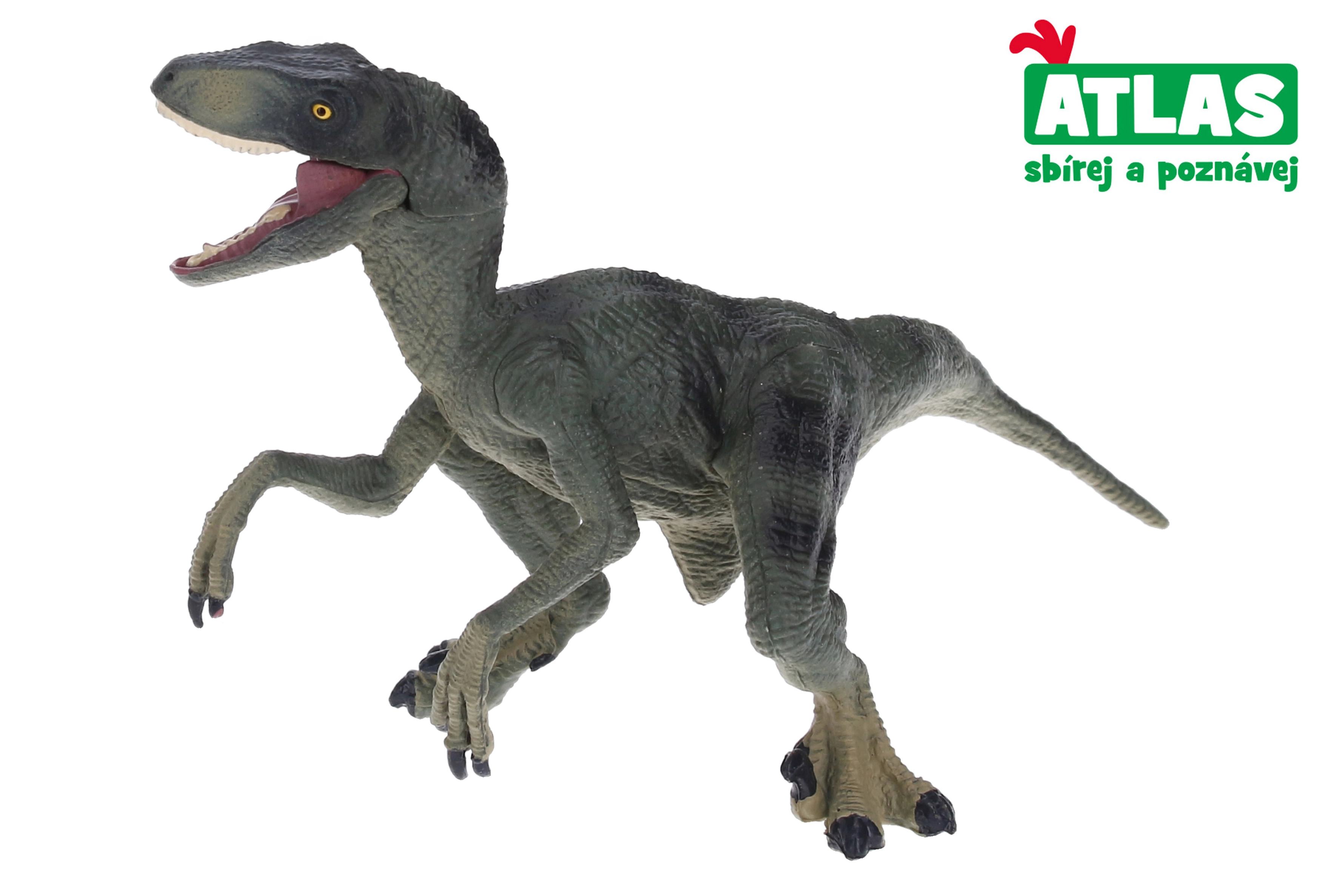 E-shop Atlas C Velociraptor 16 cm