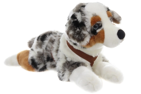 E-shop Australský ovčák 57 cm