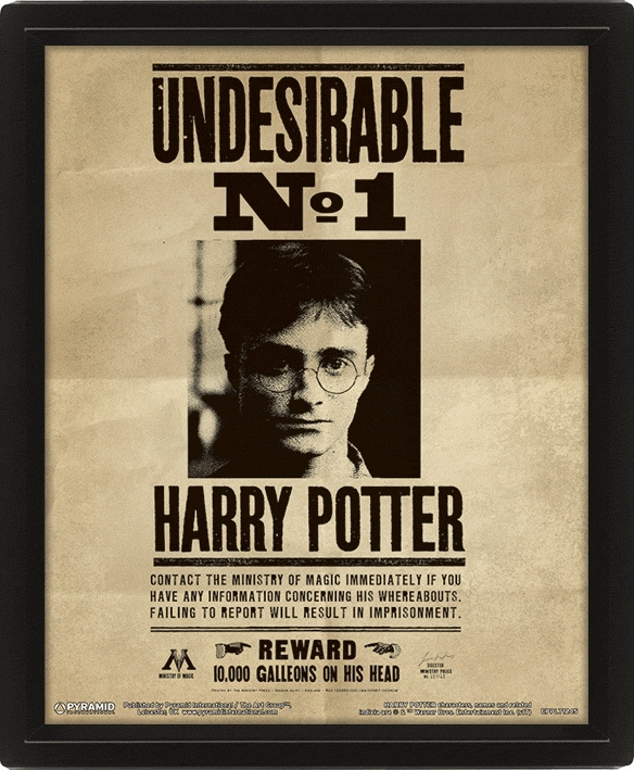 E-shop Pyramid International 3D obraz Harry Potter Sirius