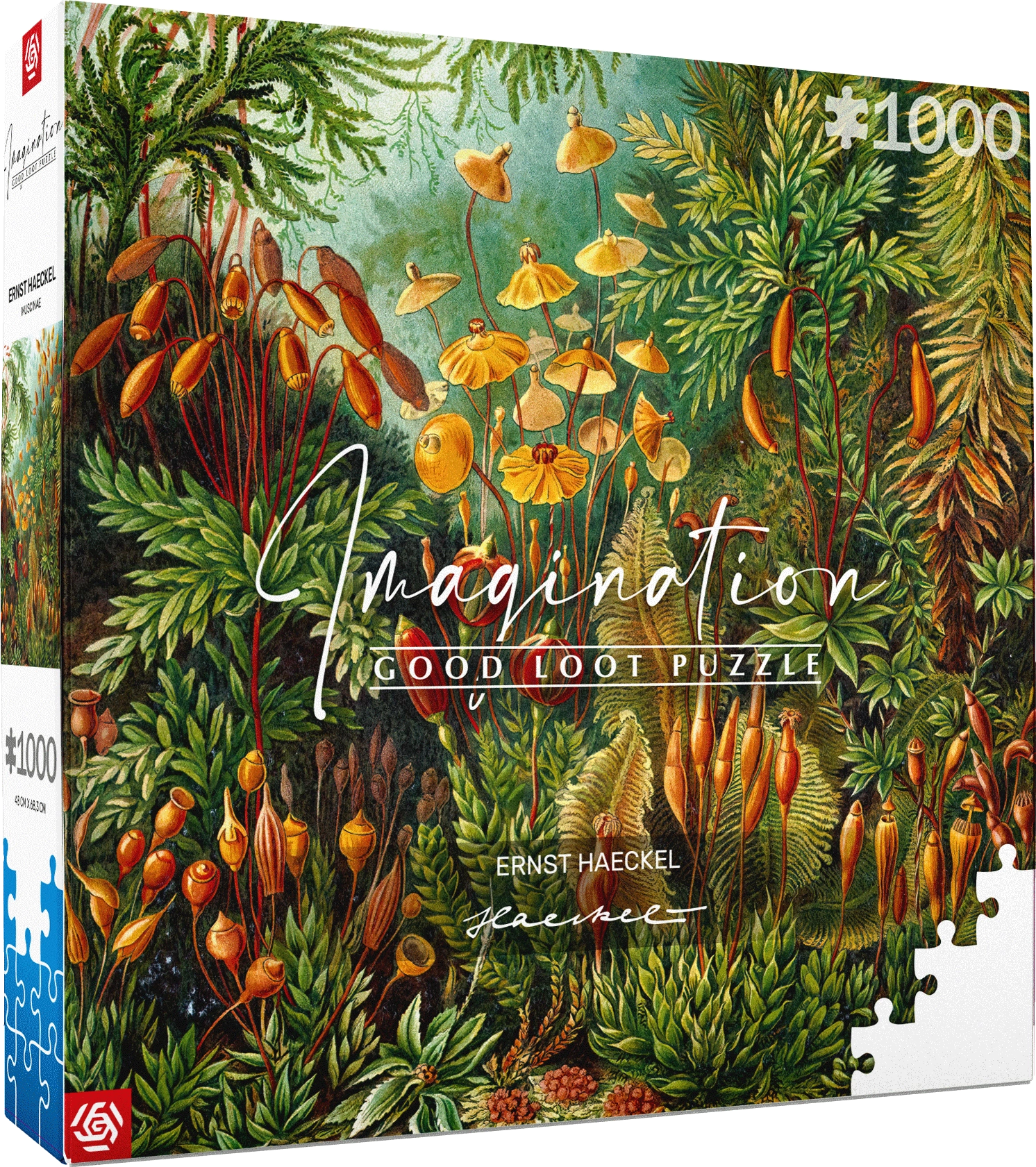 E-shop Puzzle Imagination: Ernst Haeckel – Muscinae 1000 dielikov